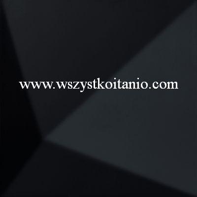 Płytka ścienna Tegel schwarz 3; 29,8 x 29,8; Tubądzin, płytki, kafelki, 298 x 298, Zień, seria Berlin