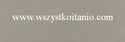 Płytka Urban Mix grey 19 x 59,4; Opoczno, płytki, kafelki, terakota, glazura, OP639-049-1