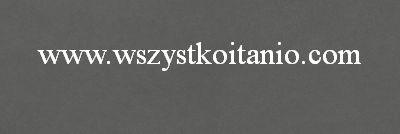 Płytka Urban Mix graphite 19 x 59,4; Opoczno, płytki, kafelki, terakota, glazura