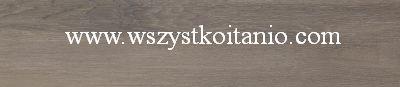 Gres Pago dark Mat 21,5 x 98,5; Paradyż, płytki, kafelki