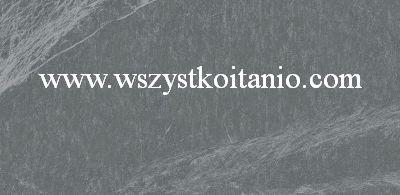 Płytka G302 grey Lappato 29 x 59,3; Opoczno, płytka, gres, NT014-007-1, seria Nerthus