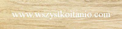 Płytka Ash beige Struktura 14,8 x 59,8; Domino, płytki, kafelki, Tubądzin